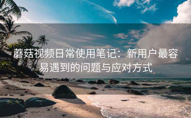 蘑菇视频日常使用笔记：新用户最容易遇到的问题与应对方式