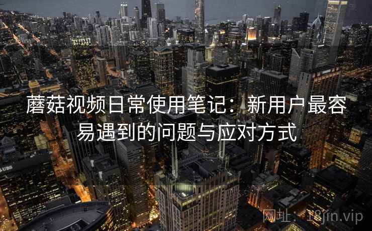 蘑菇视频日常使用笔记：新用户最容易遇到的问题与应对方式