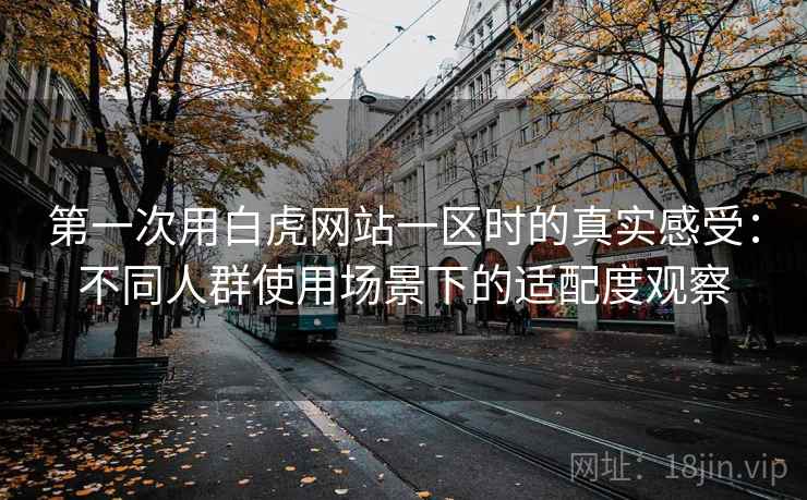 第一次用白虎网站一区时的真实感受：不同人群使用场景下的适配度观察