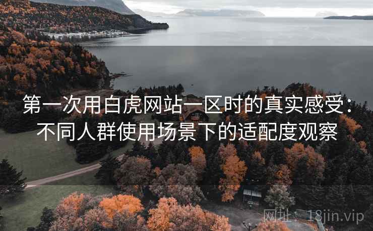 第一次用白虎网站一区时的真实感受：不同人群使用场景下的适配度观察
