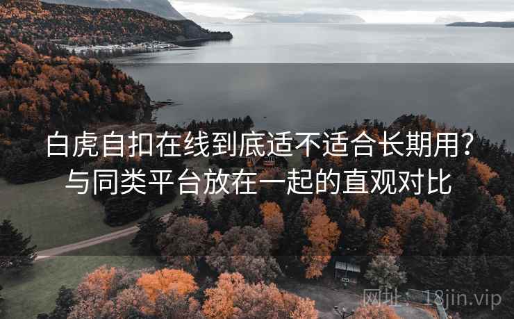 白虎自扣在线到底适不适合长期用？与同类平台放在一起的直观对比