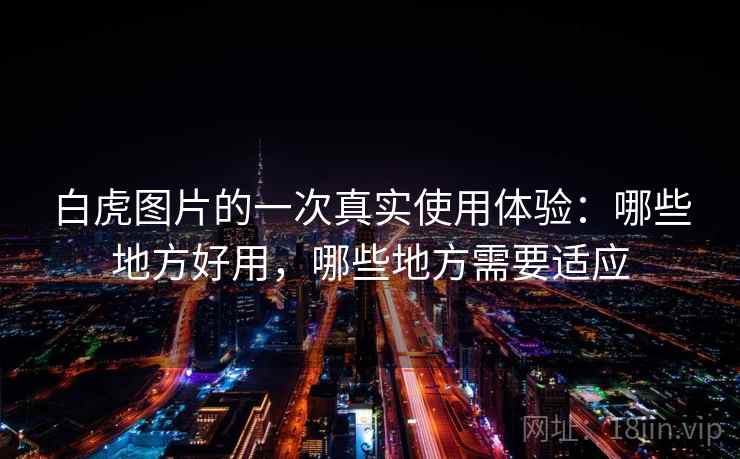 白虎图片的一次真实使用体验：哪些地方好用，哪些地方需要适应