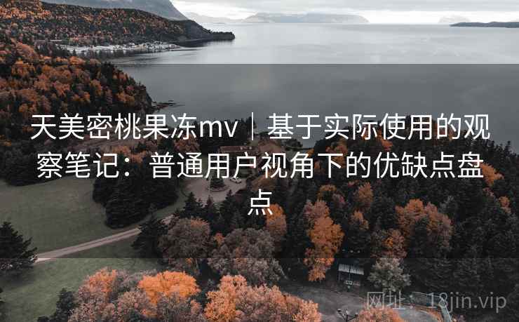 天美密桃果冻mv｜基于实际使用的观察笔记：普通用户视角下的优缺点盘点