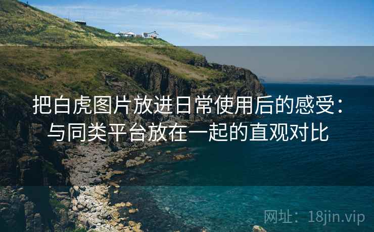 把白虎图片放进日常使用后的感受:与同类平台放在一起的直观对比 把白虎图片放进日常使用后的感受:与同类平台放在一起的直观对比