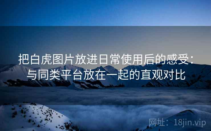 把白虎图片放进日常使用后的感受：与同类平台放在一起的直观对比