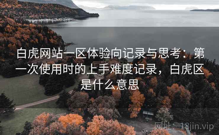 白虎网站一区体验向记录与思考：第一次使用时的上手难度记录，白虎区是什么意思