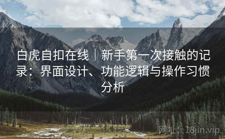 白虎自扣在线｜新手第一次接触的记录：界面设计、功能逻辑与操作习惯分析