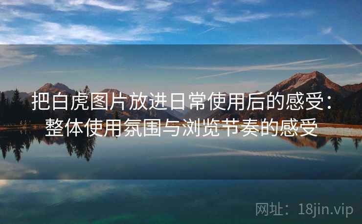 把白虎图片放进日常使用后的感受：整体使用氛围与浏览节奏的感受