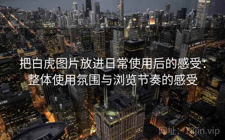 把白虎图片放进日常使用后的感受:整体使用氛围与浏览节奏的感受 把白虎图片放进日常使用后的感受:整体使用氛围与浏览节奏的感受