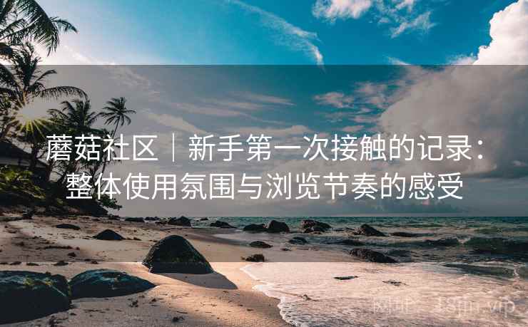 蘑菇社区｜新手第一次接触的记录：整体使用氛围与浏览节奏的感受