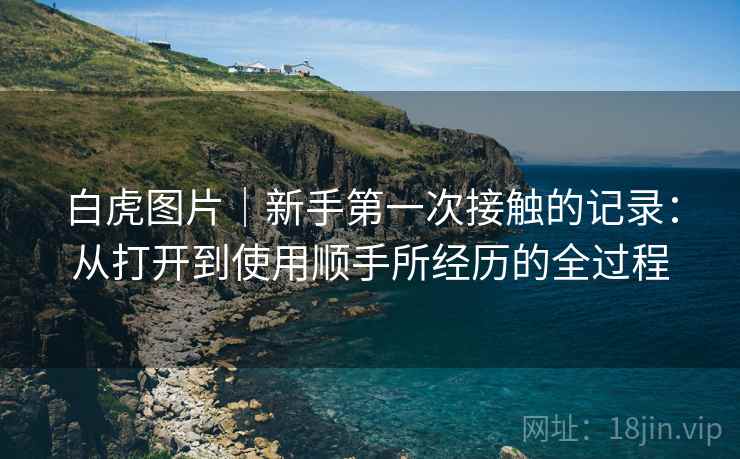 白虎图片｜新手第一次接触的记录：从打开到使用顺手所经历的全过程