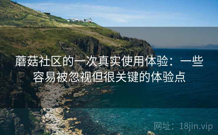 蘑菇社区的一次真实使用体验：一些容易被忽视但很关键的体验点