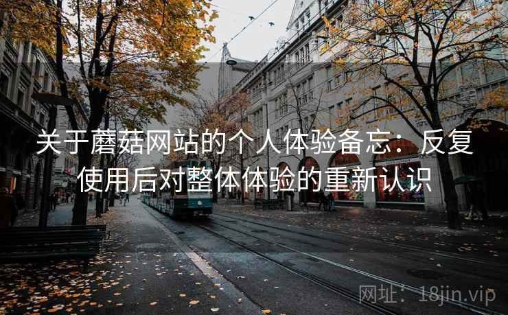 关于蘑菇网站的个人体验备忘：反复使用后对整体体验的重新认识