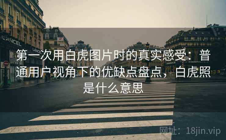 第一次用白虎图片时的真实感受：普通用户视角下的优缺点盘点，白虎照是什么意思