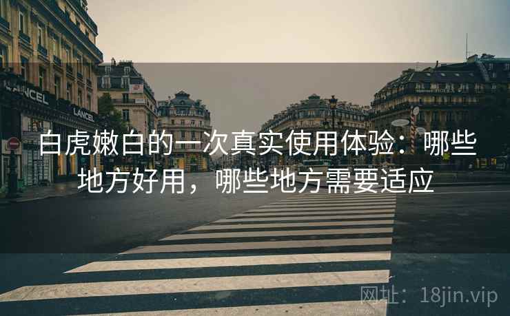 白虎嫩白的一次真实使用体验:哪些地方好用,哪些地方需要适应 白虎嫩白的一次真实使用体验:哪些地方好用,哪些地方需要适应