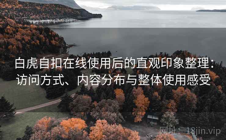 白虎自扣在线使用后的直观印象整理：访问方式、内容分布与整体使用感受