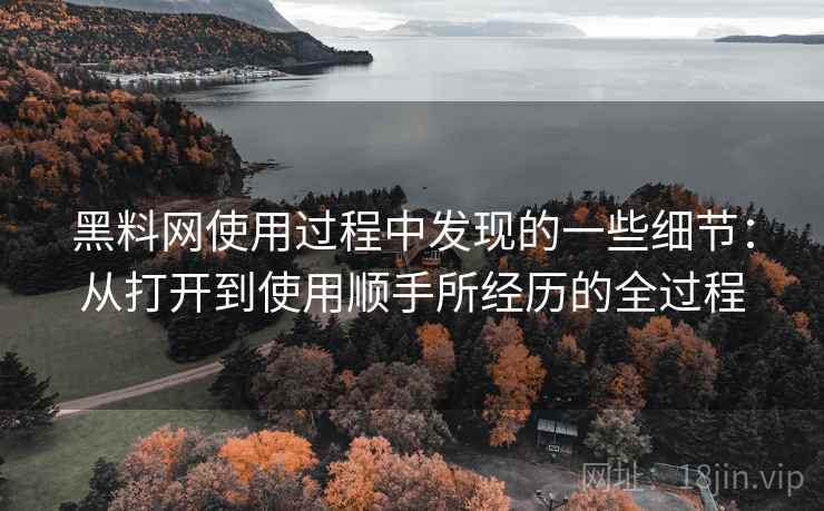黑料网使用过程中发现的一些细节：从打开到使用顺手所经历的全过程