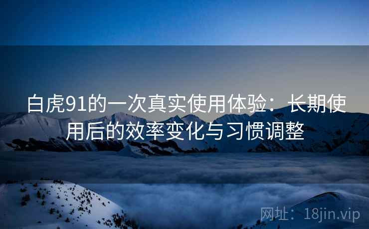 白虎91的一次真实使用体验：长期使用后的效率变化与习惯调整